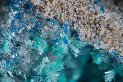 Dioptase with Kinoite and Apophyllite