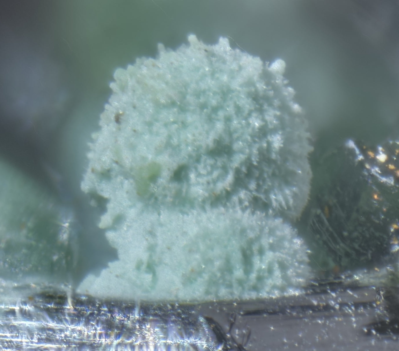 Olivenite with Malachite