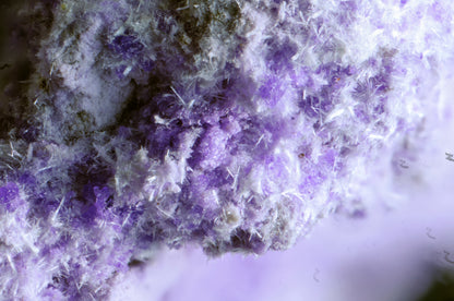 Sugilite with Pectolite