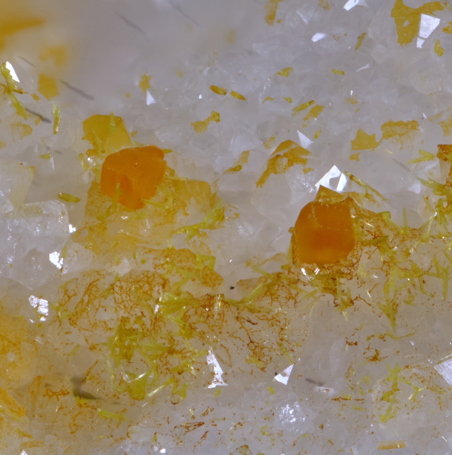 Stolzite &amp; Mimetite