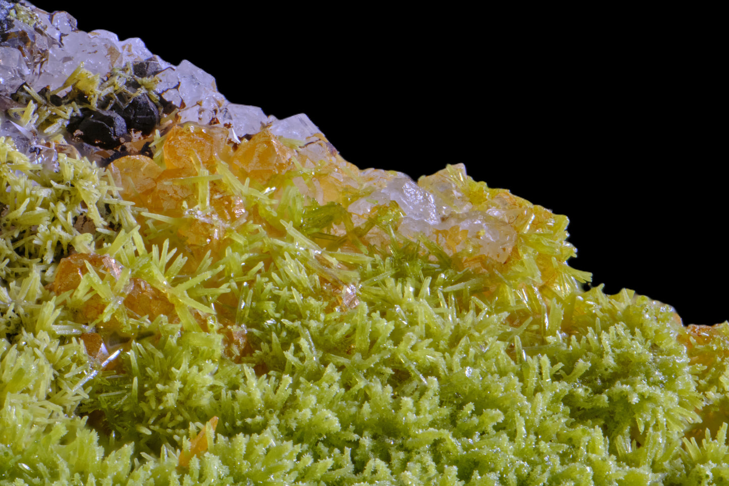 Stolzite &amp; Mimetite