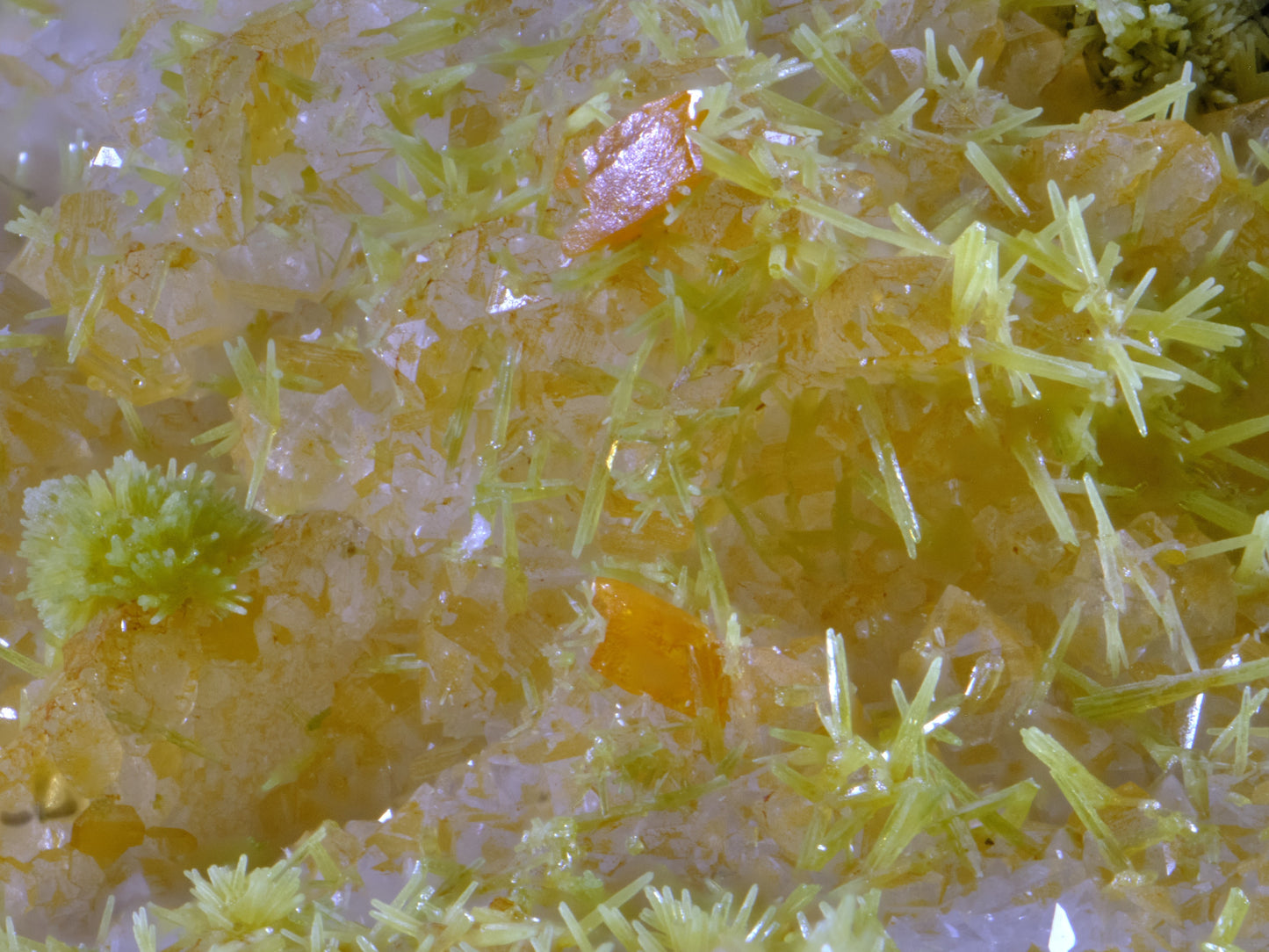 Stolzite &amp; Mimetite