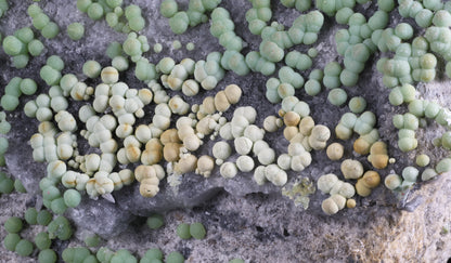 Planerite on Quartzite