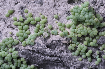 Planerite on Quartzite
