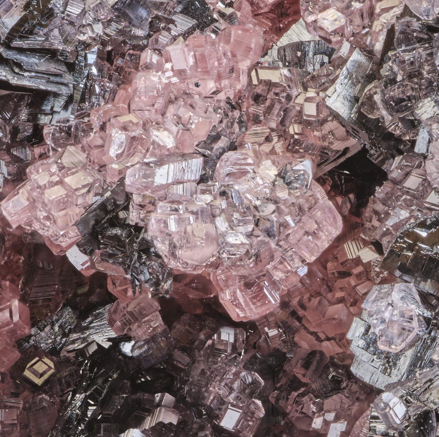 Rhodochrosite on Manganite