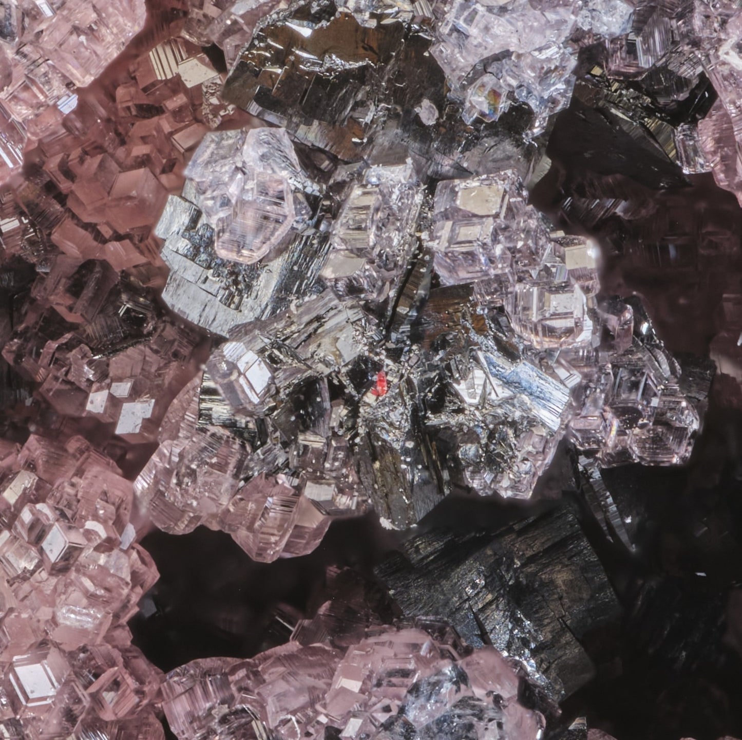 Rhodochrosite on Manganite