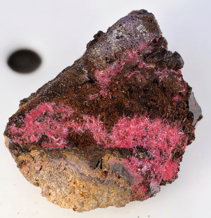 Cuprite (Var: Chalcotrichite)