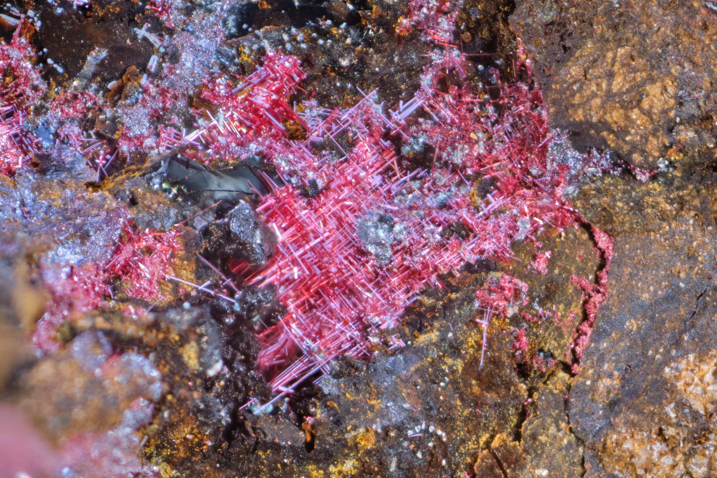 Cuprite (Var: Chalcotrichite)