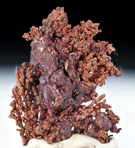 Cuprite on Dendritic Copper