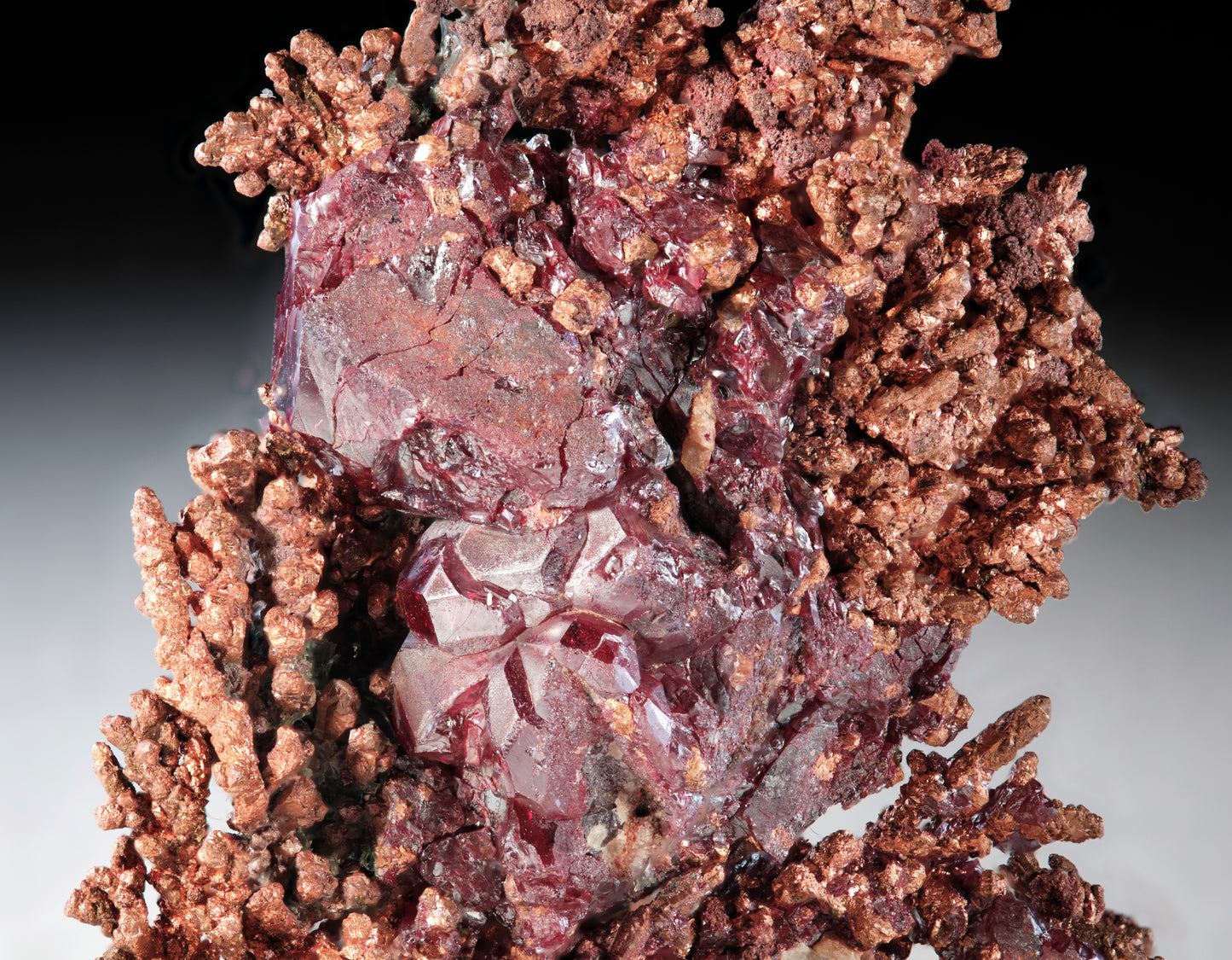 Cuprite on Dendritic Copper