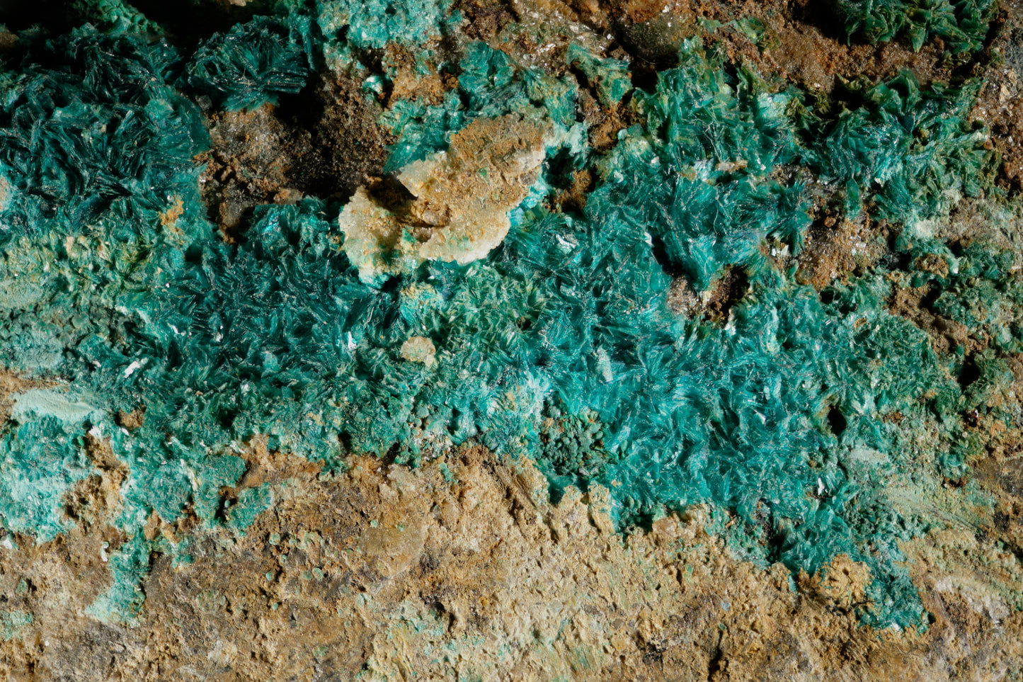 Devilline (Herrengrundite)