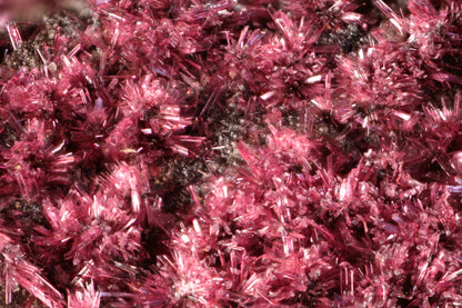 Erythrite with Heterogenite