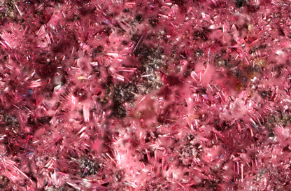 Erythrite with Heterogenite