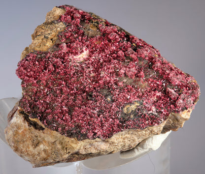 Erythrite with Heterogenite