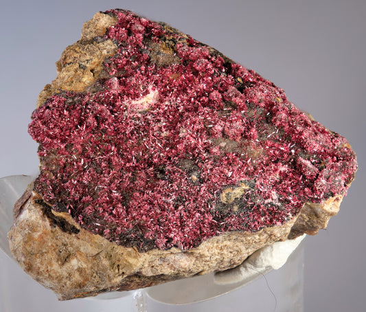 Erythrite with Heterogenite