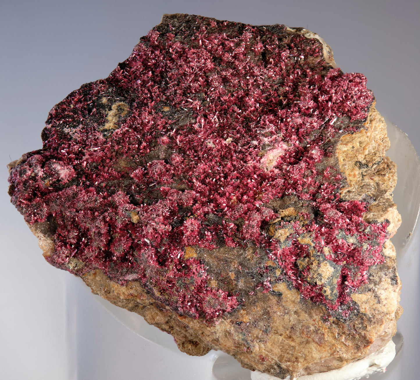 Erythrite with Heterogenite