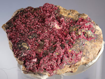 Erythrite with Heterogenite
