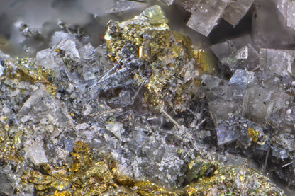 Polydymite with Chalcopyrite on Dolomite