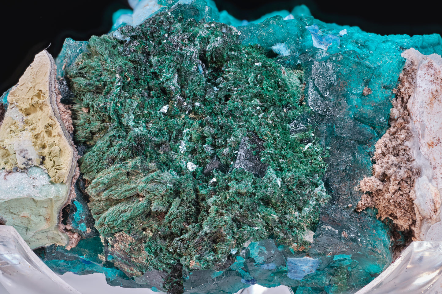 Dioptase, Shattuckite, and Malachite