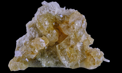 Gem Garnet var. Grossular on Diopside