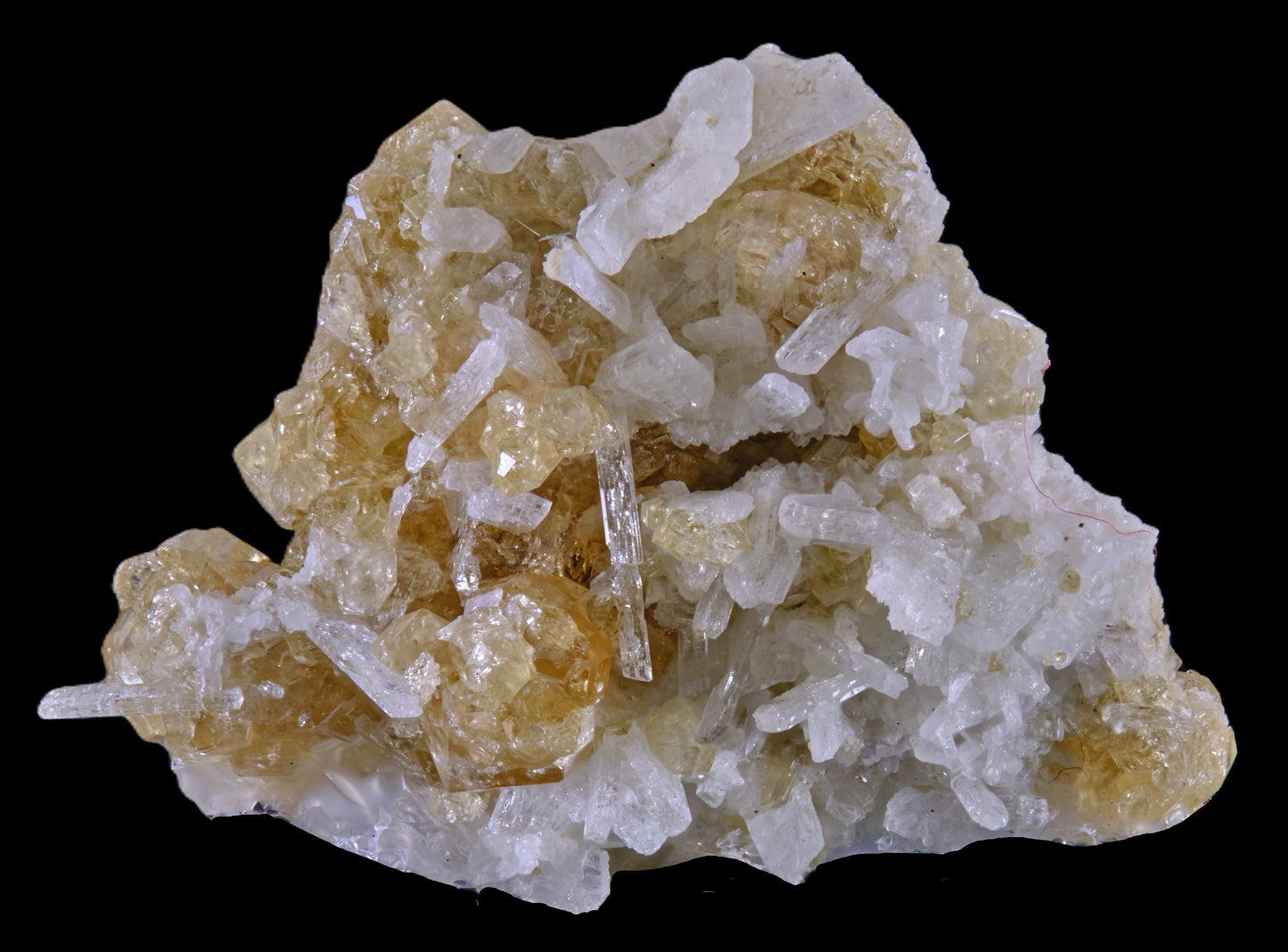 Gem Garnet var. Grossular on Diopside