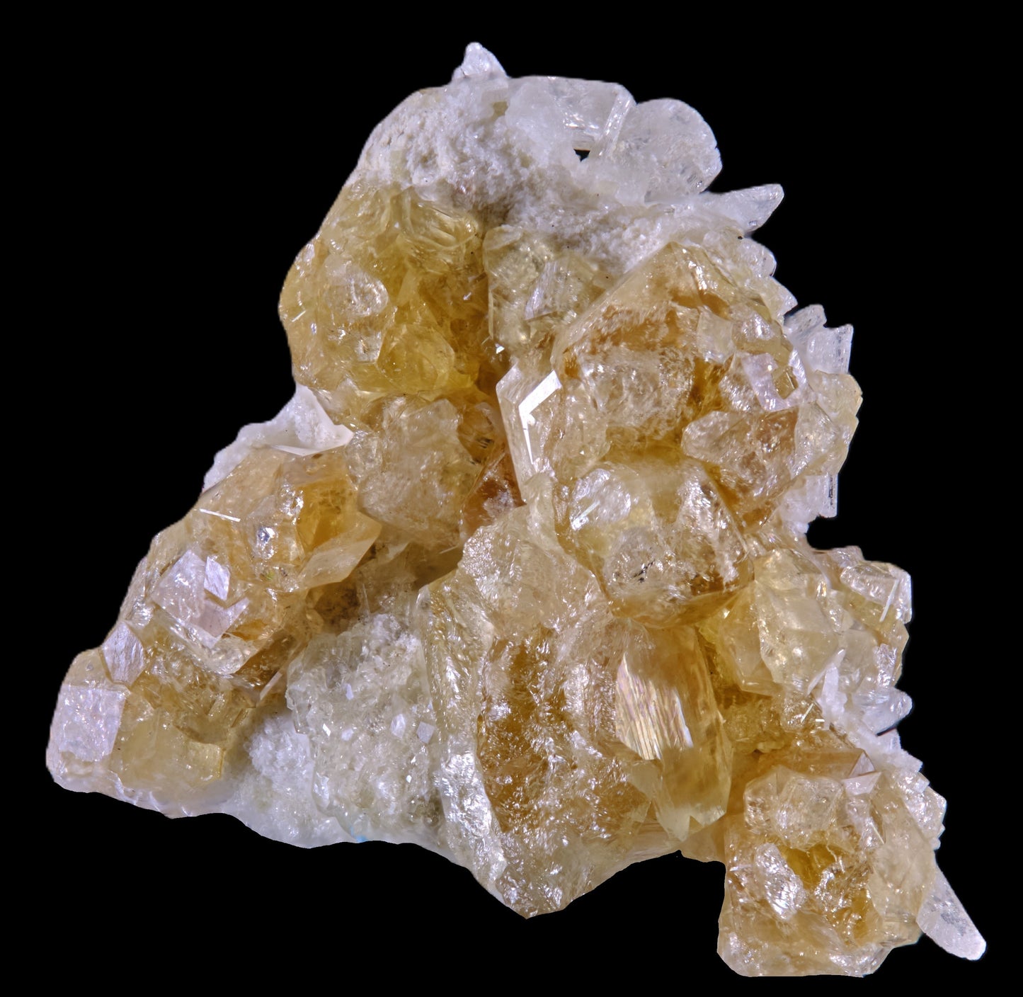 Gem Garnet var. Grossular on Diopside