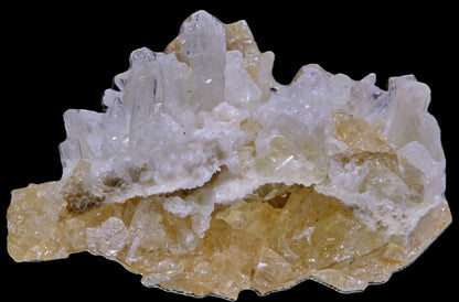 Gem Garnet var. Grossular on Diopside