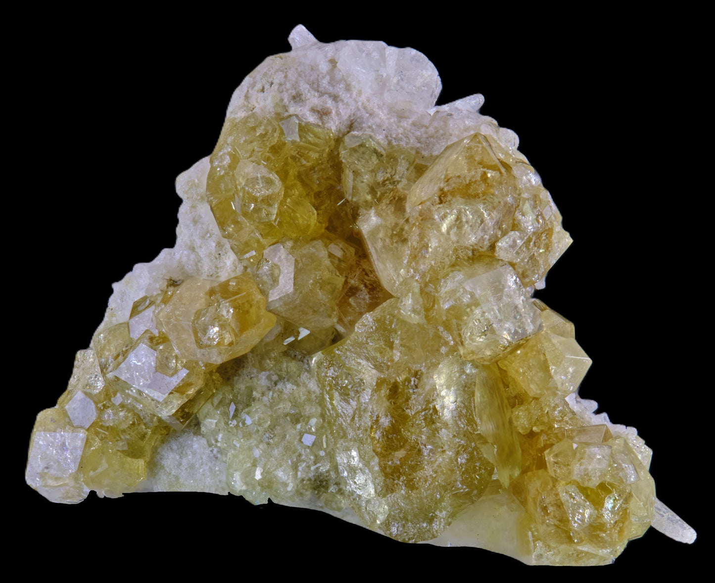 Gem Garnet var. Grossular on Diopside