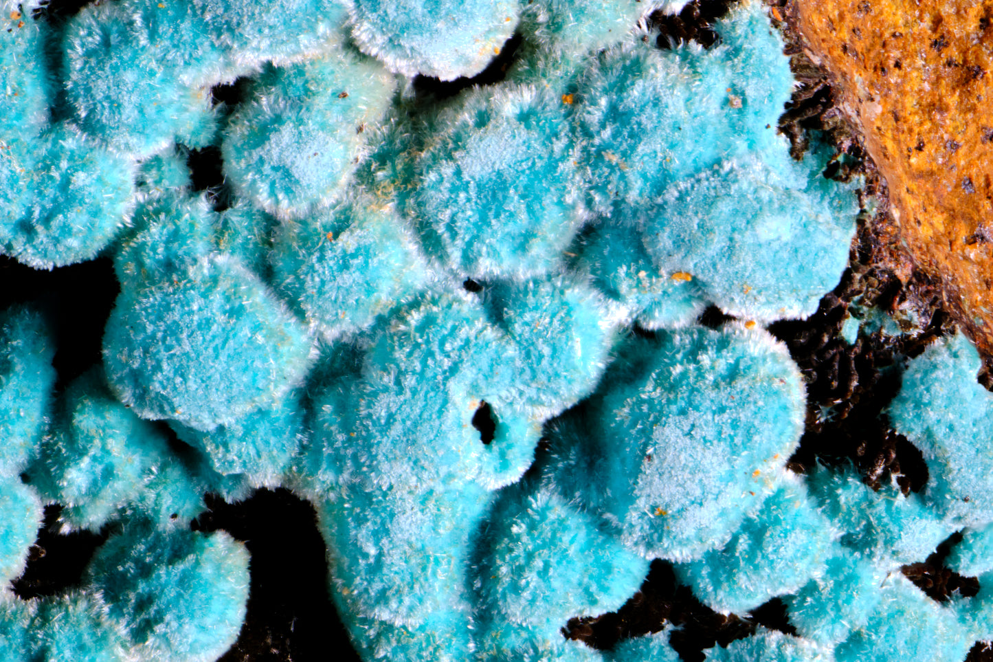 Rosasite on Hematite with Limonite