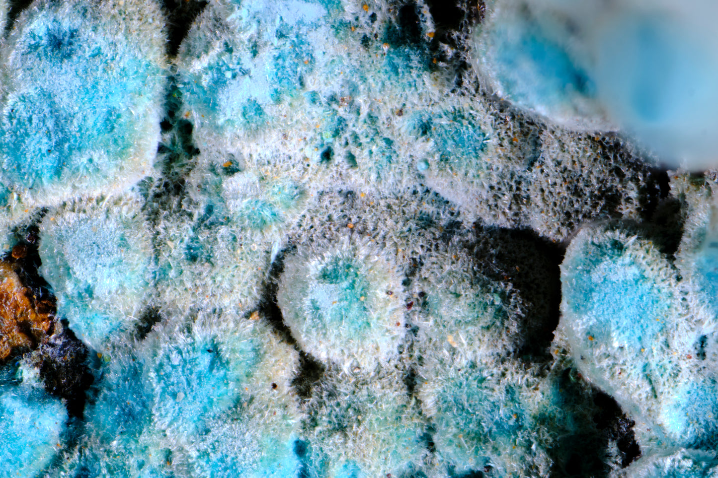 Rosasite on Hematite with Limonite