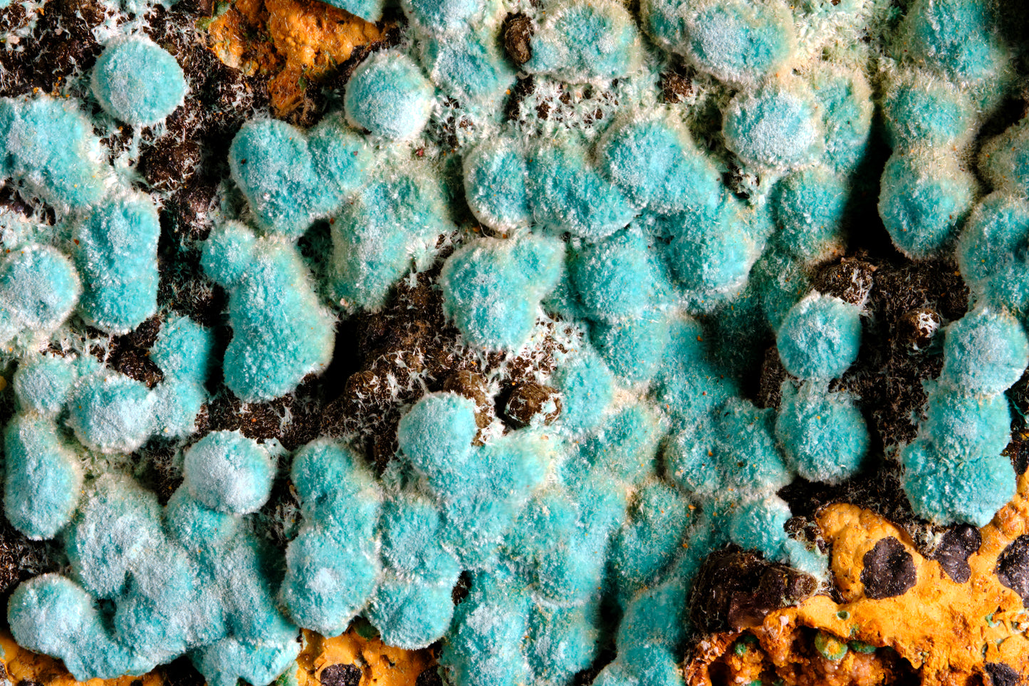 Rosasite on Hematite with Limonite