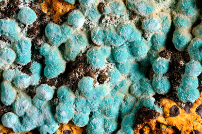 Rosasite on Hematite with Limonite