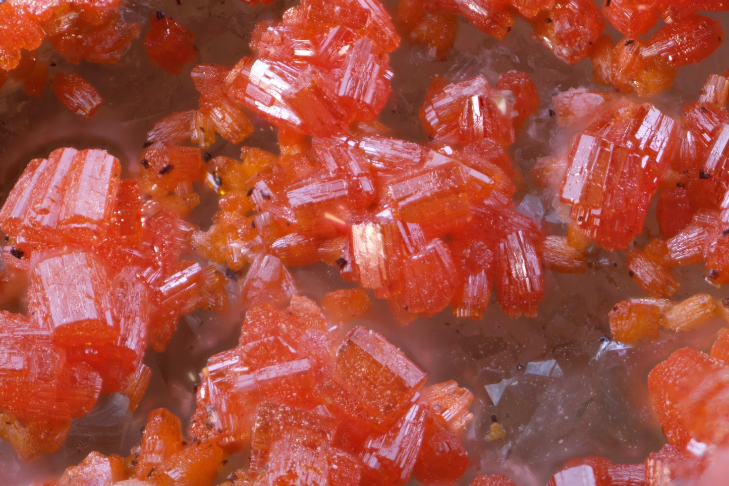Vanadinite with Quartz