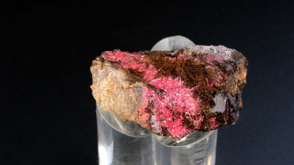 Cuprite (Var: Chalcotrichite)