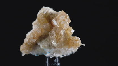 Gem Garnet var. Grossular on Diopside